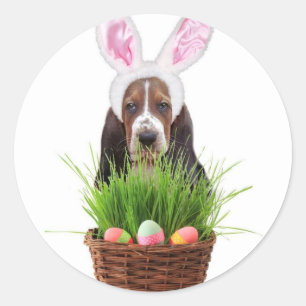 Sticker Rond Chien de Pâques Basset Hound