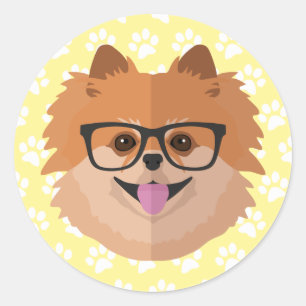Sticker Rond Chien de Pomeranian en cadeau mignon nerd de