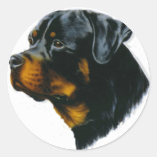 Sticker Rond chien de rottweiler