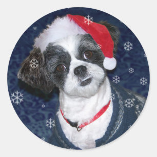 Sticker Rond Chien de Shih Tzu de Noël