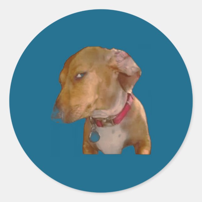 Sticker Rond Chien Drôle Regard Latéral Emphatique  (Devant)
