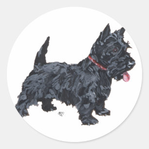Sticker Rond Chien écossais fougueux