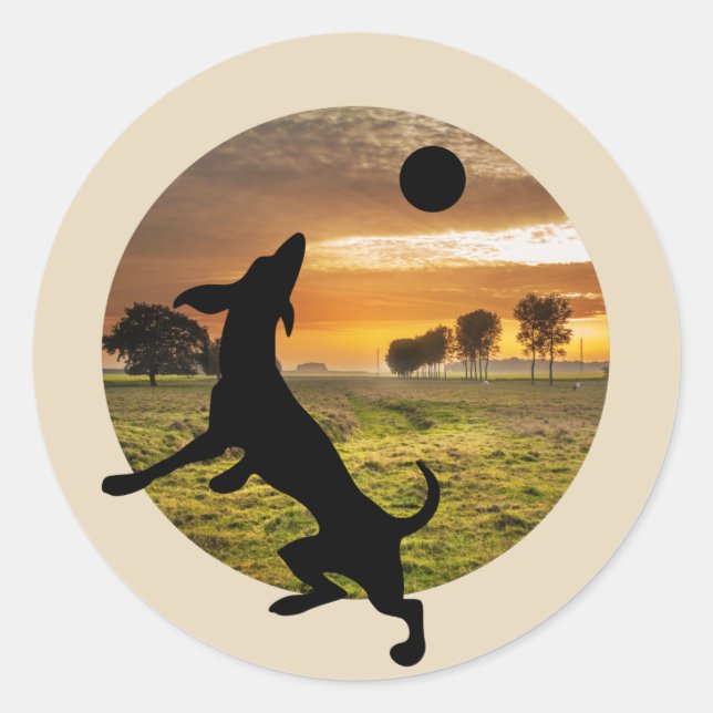 Sticker Rond Chien en jeu (Devant)