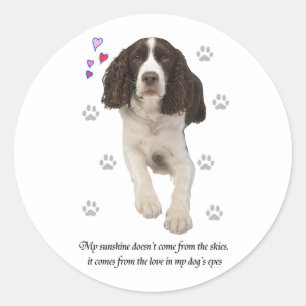 Sticker Rond Chien espagnol Springer anglais
