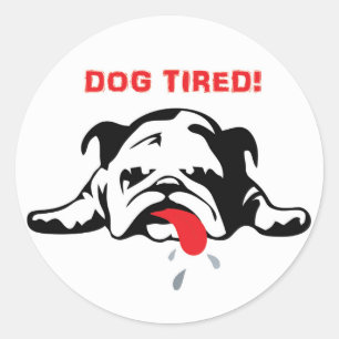 STICKER ROND CHIEN FATIGUÉ