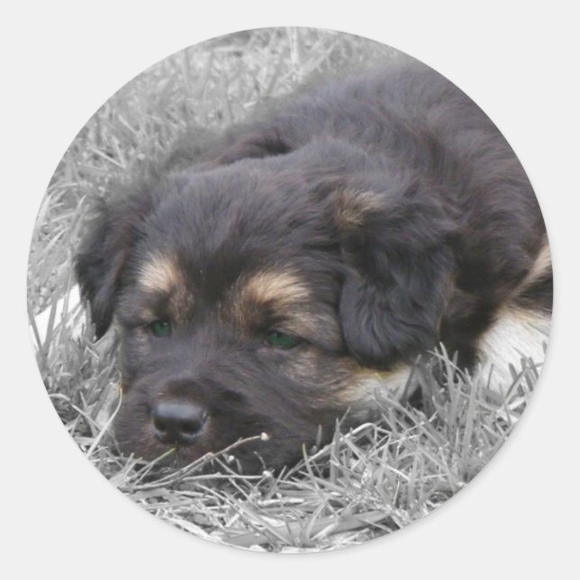 Sticker Rond Chien fatigué, personnalisable (Devant)