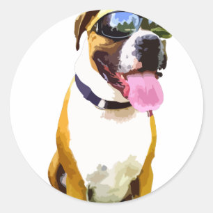 Sticker Rond Chien frais de boxeur