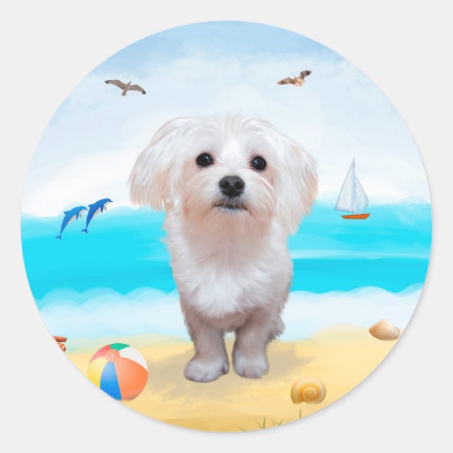 Sticker Rond Chien maltais sur la plage (Devant)