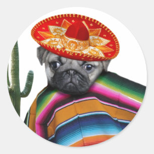 Sticker Rond Chien mexicain de carlin