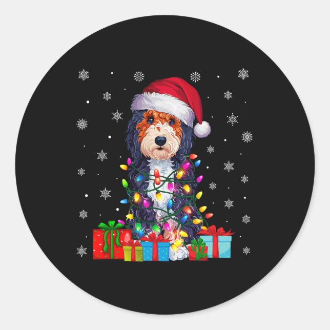 Sticker Rond Chien Moche Noël Lumières Santa Chapeau Bernedoodl (Devant)