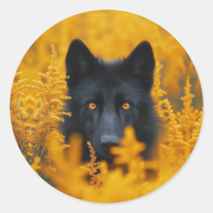 Sticker Rond Chien noir aux yeux d'or étonnants