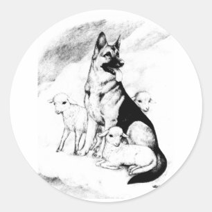 Sticker Rond Chien paradis