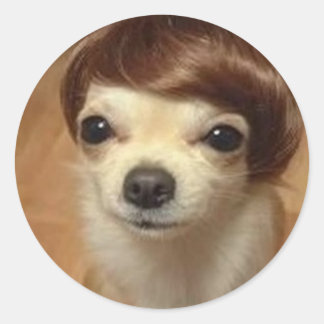 Sticker Rond chien-perruque