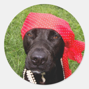 Sticker Rond Chien pirate, laboratoire noir, mouchoir rouge her