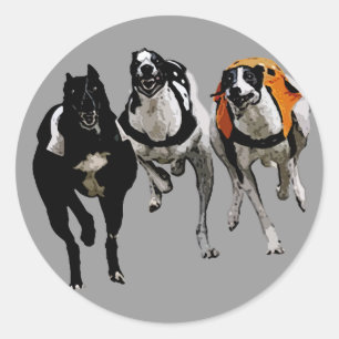 STICKER ROND CHIEN RACE GREYHOY