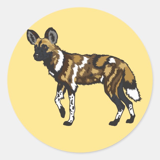 Sticker Rond Chien sauvage africain (Devant)