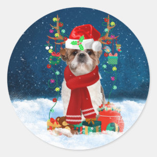 Sticker Rond Chien Shih Tzu en neige avec cadeaux de Noël
