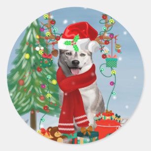 Sticker Rond Chien sibérien Husky à Noël de neige