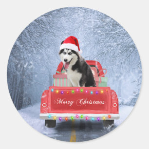 Sticker Rond Chien sibérien Husky en neige assis Camion de Noël