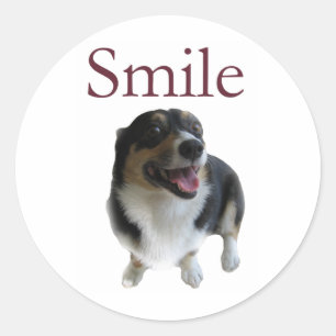 Sticker Rond Chien souriant mignon   Smile Be Happy