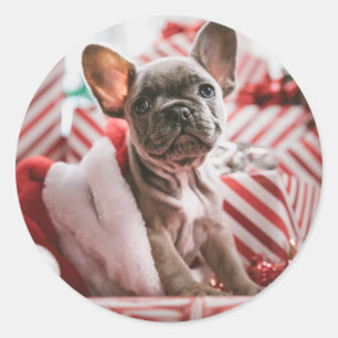 Sticker Rond Chien taule français de Noël - Français