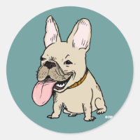 Chien-taureau français amusant avec une énorme lan