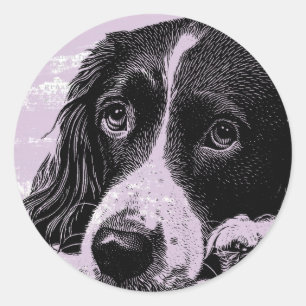 Sticker Rond Chien vintage