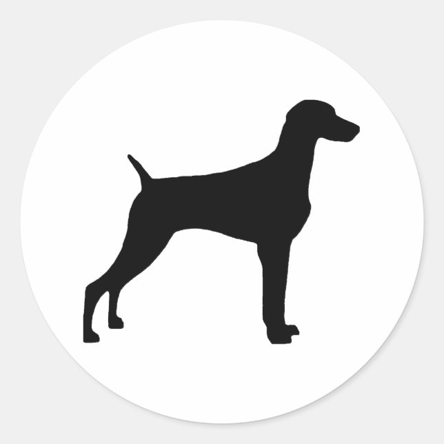 Sticker Rond Chien Weimaraner (en noir) (Devant)