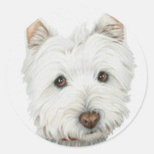 Sticker Rond Chien Westie