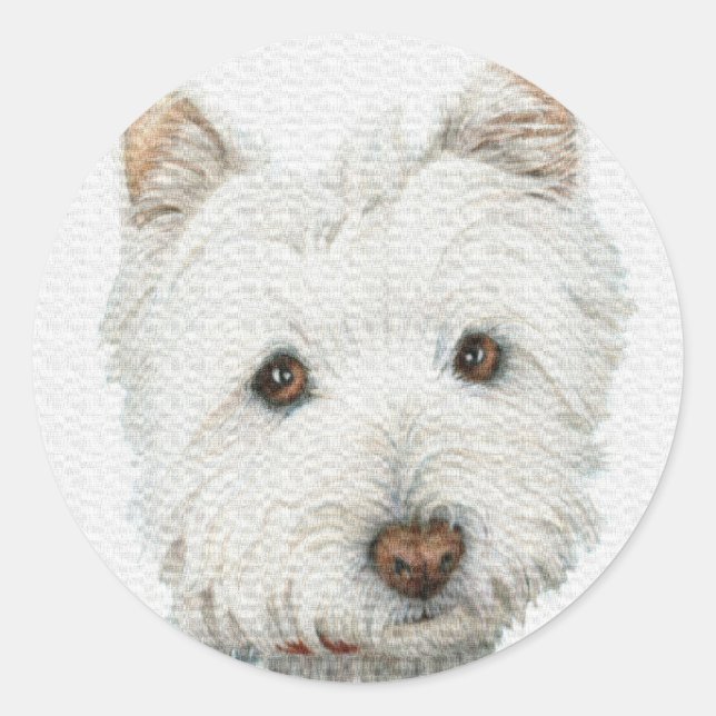 Sticker Rond Chien Westie (Devant)