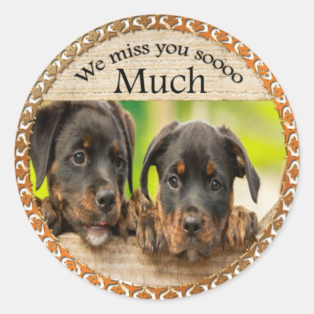 Sticker Rond Chiens de chiot mignons avec un visage triste (Devant)