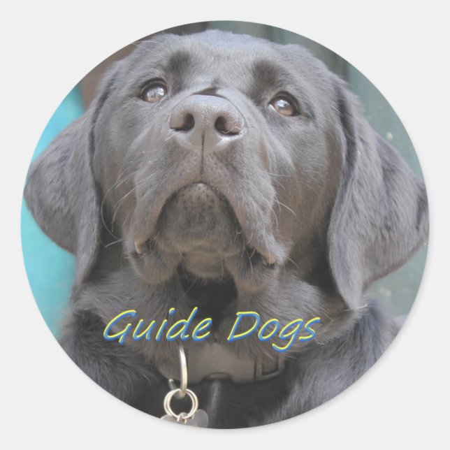 Sticker Rond Chiens de guide - Black Lab Cross (Devant)