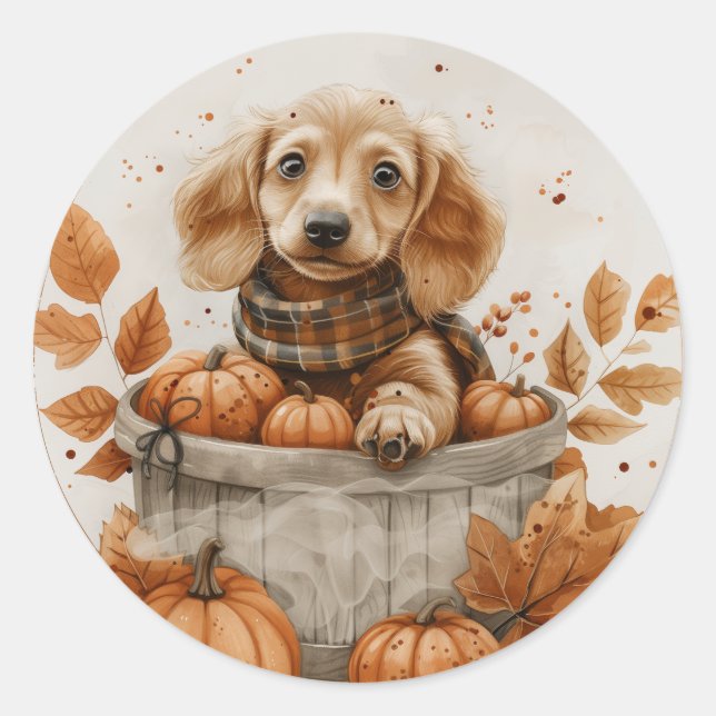 Sticker Rond Chiens de l'automne Dachshund Citrouille (Devant)