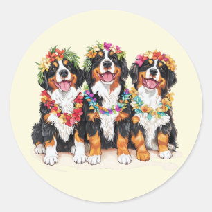 Sticker Rond Chiens de montagne bernois hawaïens Lei de fleurs