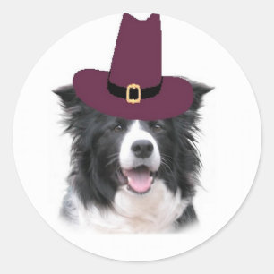 Sticker Rond Chiens Ditzy~Bordure Collie Sticker~Thanksgiving
