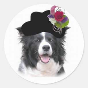 Sticker Rond Chiens Ditzy~Sticker Collie Bordure~Pâques