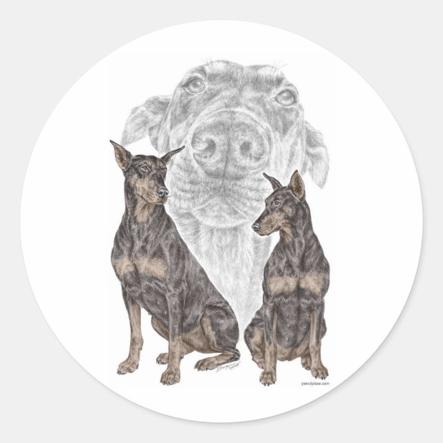 Sticker Rond Chiens noirs Doberman (Devant)