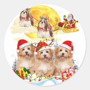 Sticker Rond Chih Tzu Chien Père Noël Sleigh   Cadeau de l'aman