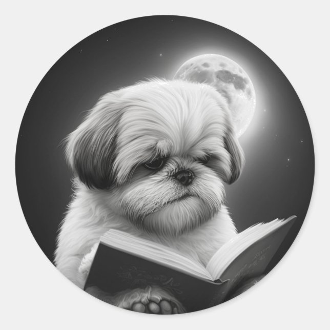 Sticker Rond Chih Tzu Lecture du livre (Devant)