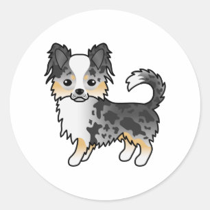 Sticker Rond Chihuahua à poil long Blue Merle Chien de dessin a