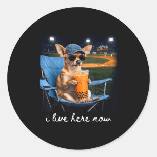 Sticker Rond Chihuahua boit du café glacé terrain de baseball e