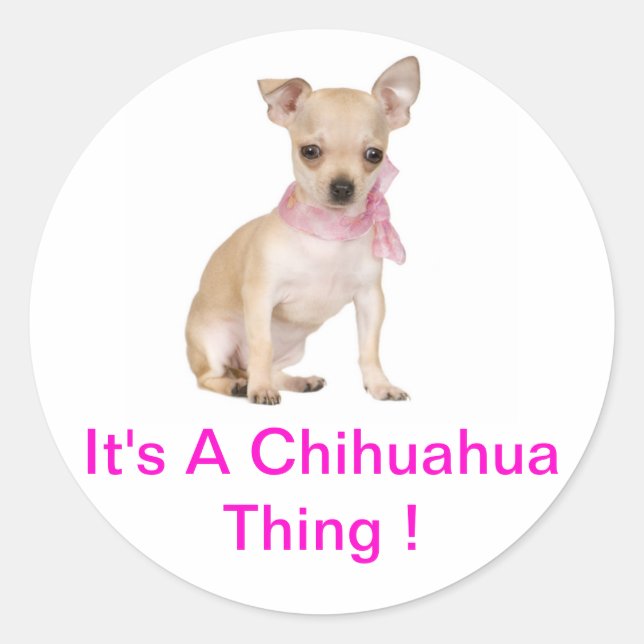 Sticker Rond Chihuahua C'est un Chihuahua (Devant)