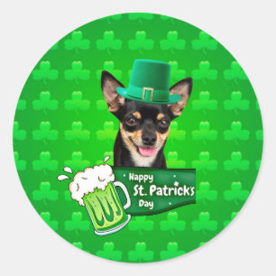 Sticker Rond Chihuahua Chien Chiot Chiot St. Patrick's Day Clov