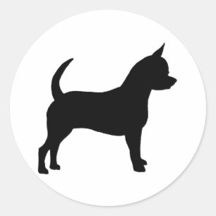 Sticker Rond Chihuahua Chig