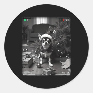 Sticker Rond Chihuahua de Noël pris en caméra