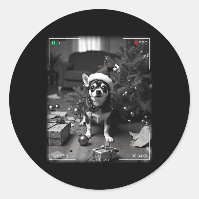 Sticker Rond Chihuahua de Noël pris en caméra  (Devant)