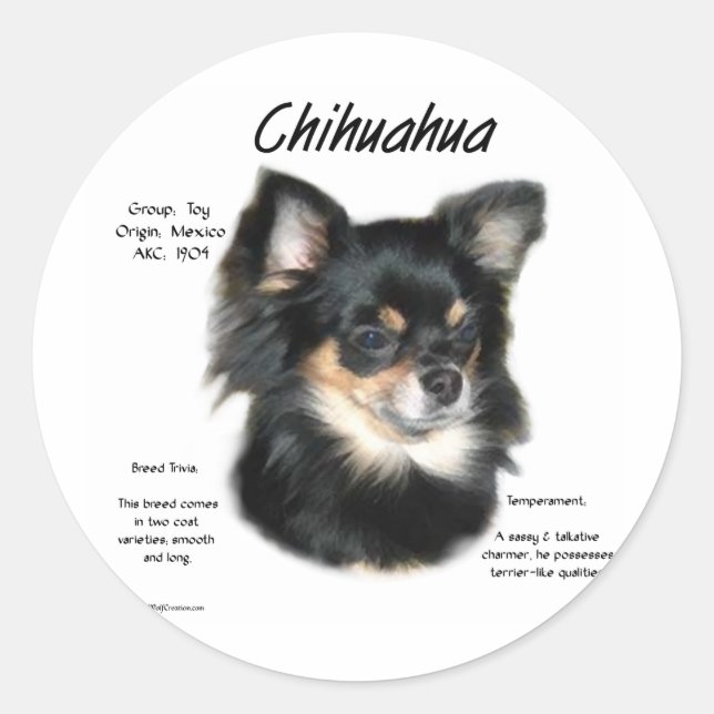 Sticker Rond Chihuahua (longue) Conception historique (Devant)