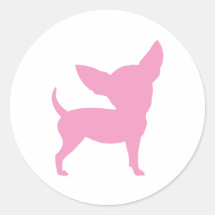 Sticker Rond Chihuahua rose drôle