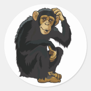 Sticker Rond chimpanzé