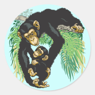 Sticker Rond chimpanzé avec bébé